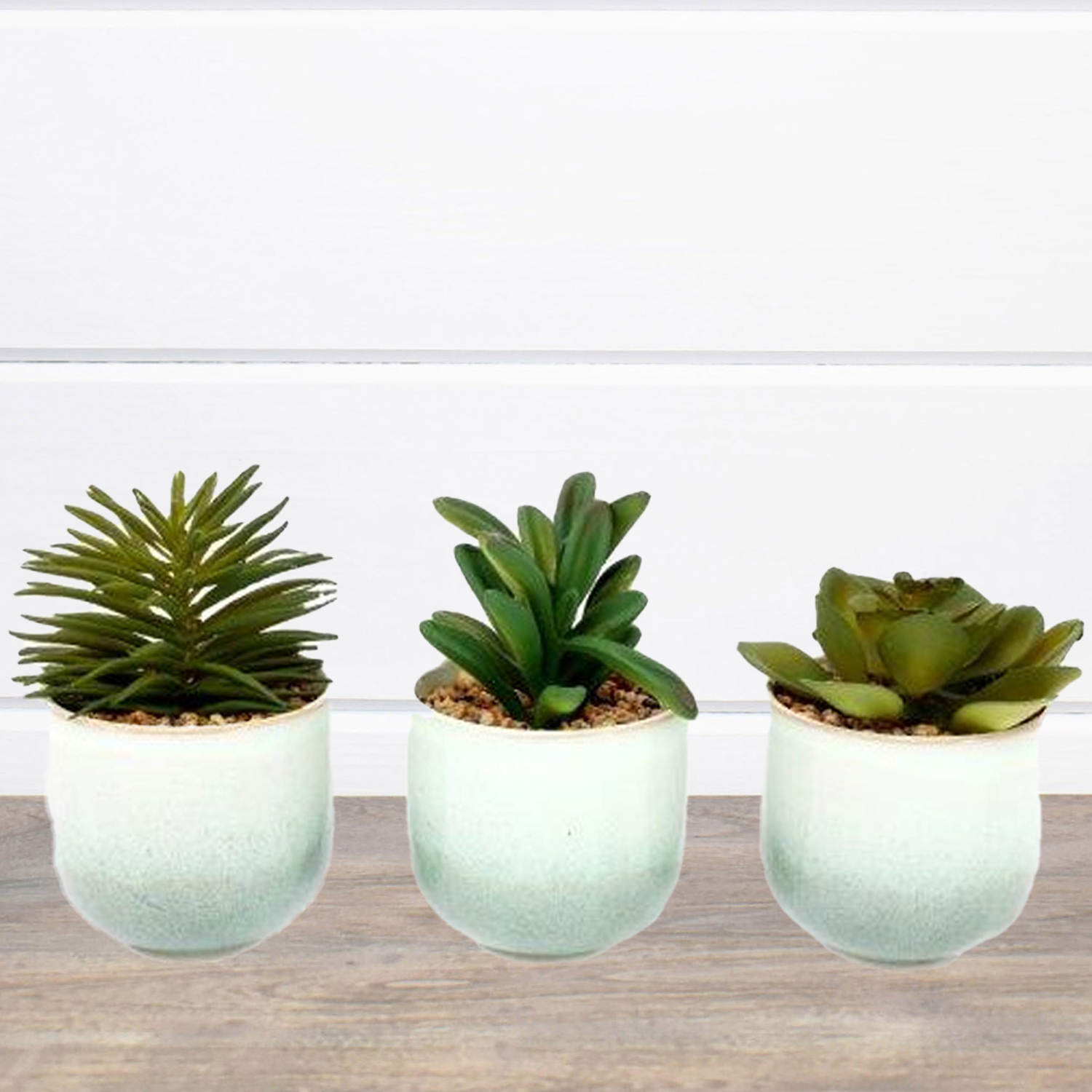 Ceramic Potted Succulents - Background 1500x1500