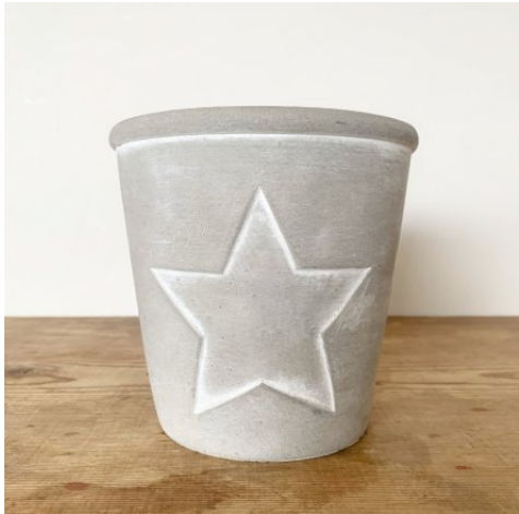 Concrete Pot with White Star