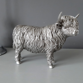 Silver Highland Scottish Coo Cow