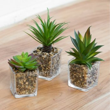 Artificial Succulents In Glass Planters